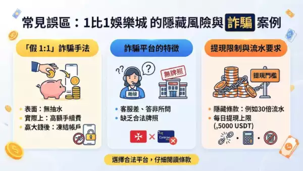 常見誤區:1比1娛樂城 嘅隱藏風險與 詐騙 案例